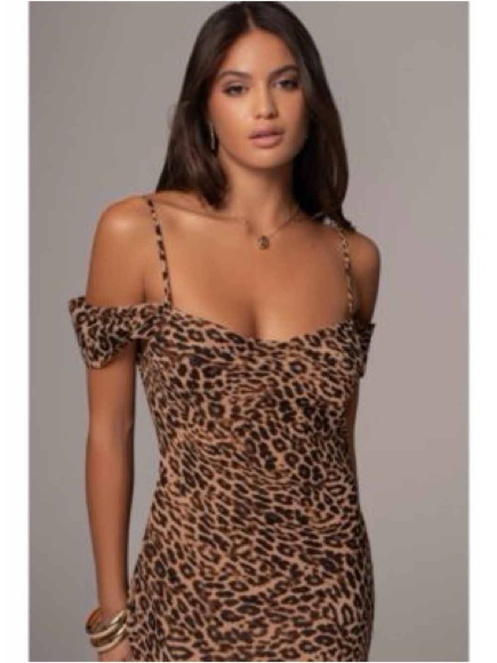 NWT Latest Scoop Jluxlabel cheetah maxi dress